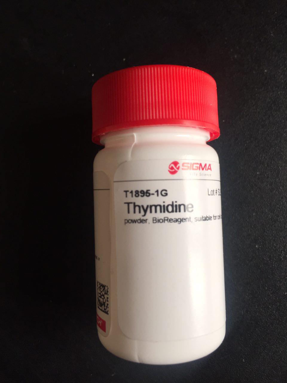 Thymidine