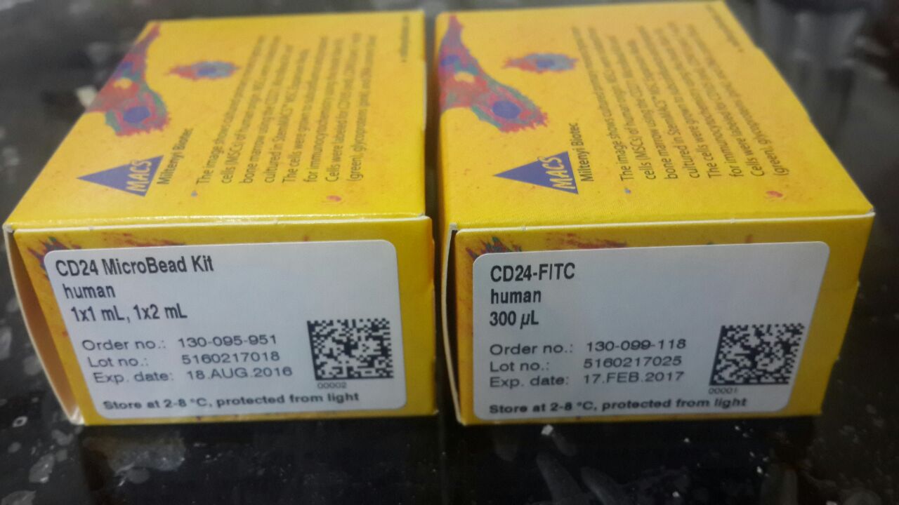 CD24 Micro Bead Kit &CD28 FITC
